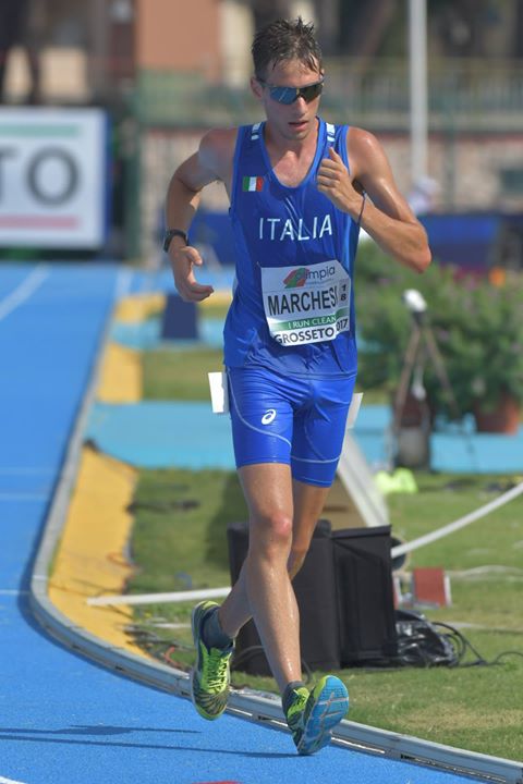 Davide Marchesi Grosseto2017