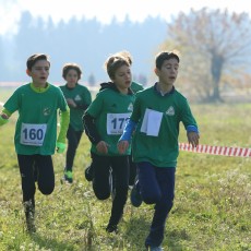 Campionato Provinciale di Cross Staffette a Squadre