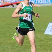 pelizzoli IMG 1527  1 