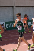 111Triete ass webmarchesi img 0355
