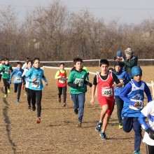 1Y1A1126