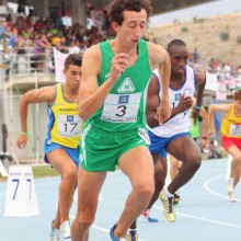 Polli IMG 4830